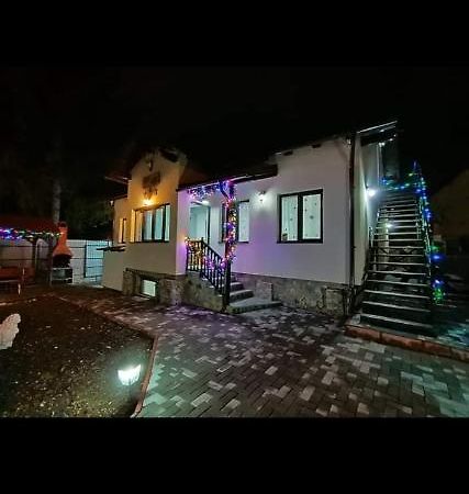 Casa Andy Ξενοδοχείο Buşteni Εξωτερικό φωτογραφία