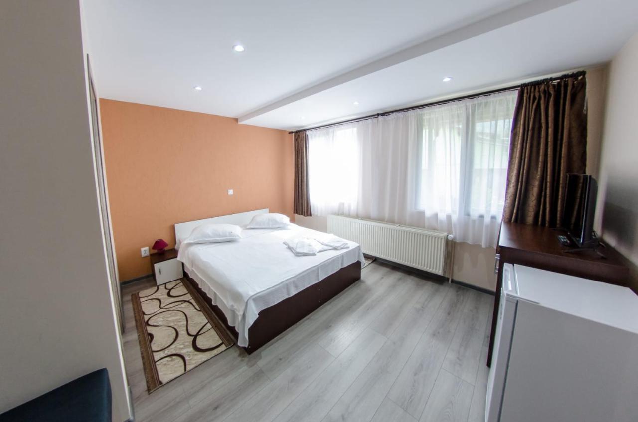 Casa Andy Ξενοδοχείο Buşteni Εξωτερικό φωτογραφία