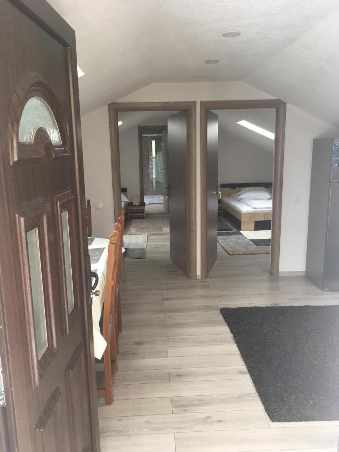 Casa Andy Ξενοδοχείο Buşteni Εξωτερικό φωτογραφία