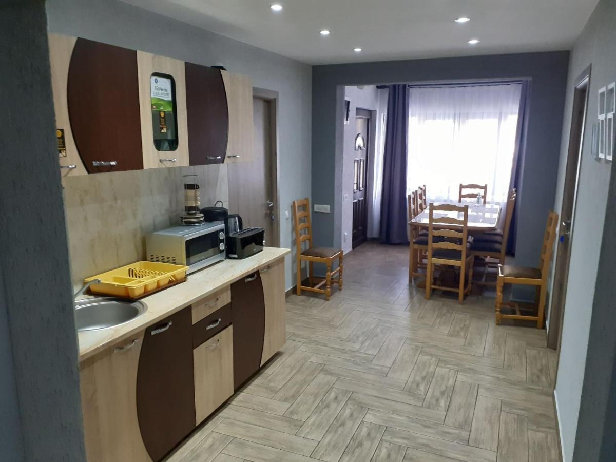 Casa Andy Ξενοδοχείο Buşteni Εξωτερικό φωτογραφία