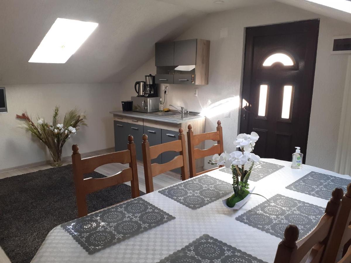 Casa Andy Ξενοδοχείο Buşteni Εξωτερικό φωτογραφία