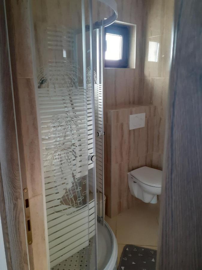 Casa Andy Ξενοδοχείο Buşteni Εξωτερικό φωτογραφία