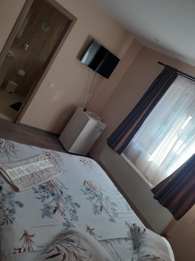Casa Andy Ξενοδοχείο Buşteni Εξωτερικό φωτογραφία