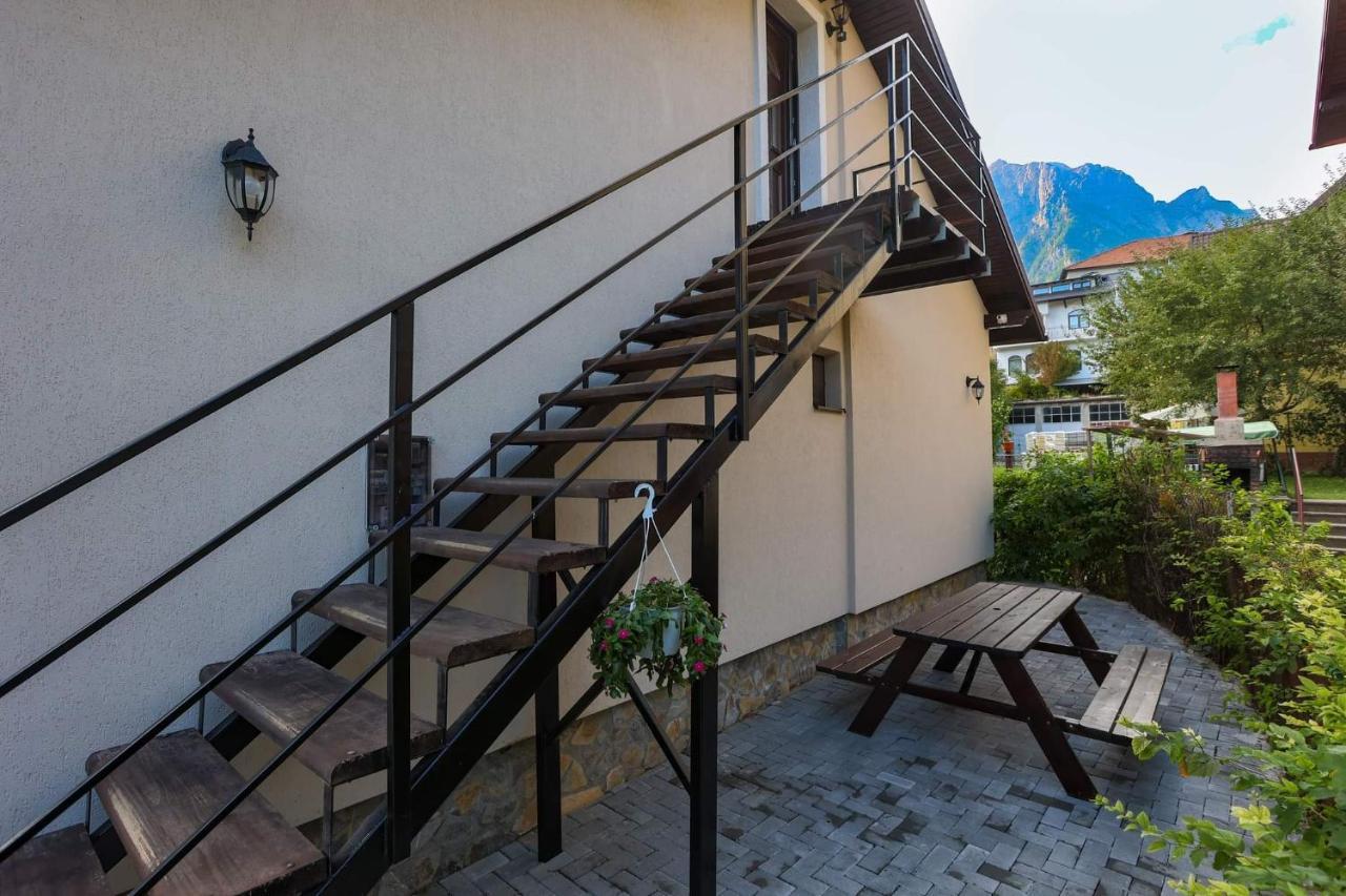 Casa Andy Ξενοδοχείο Buşteni Εξωτερικό φωτογραφία