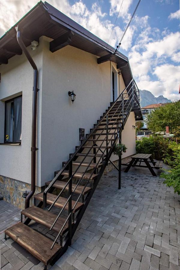 Casa Andy Ξενοδοχείο Buşteni Εξωτερικό φωτογραφία