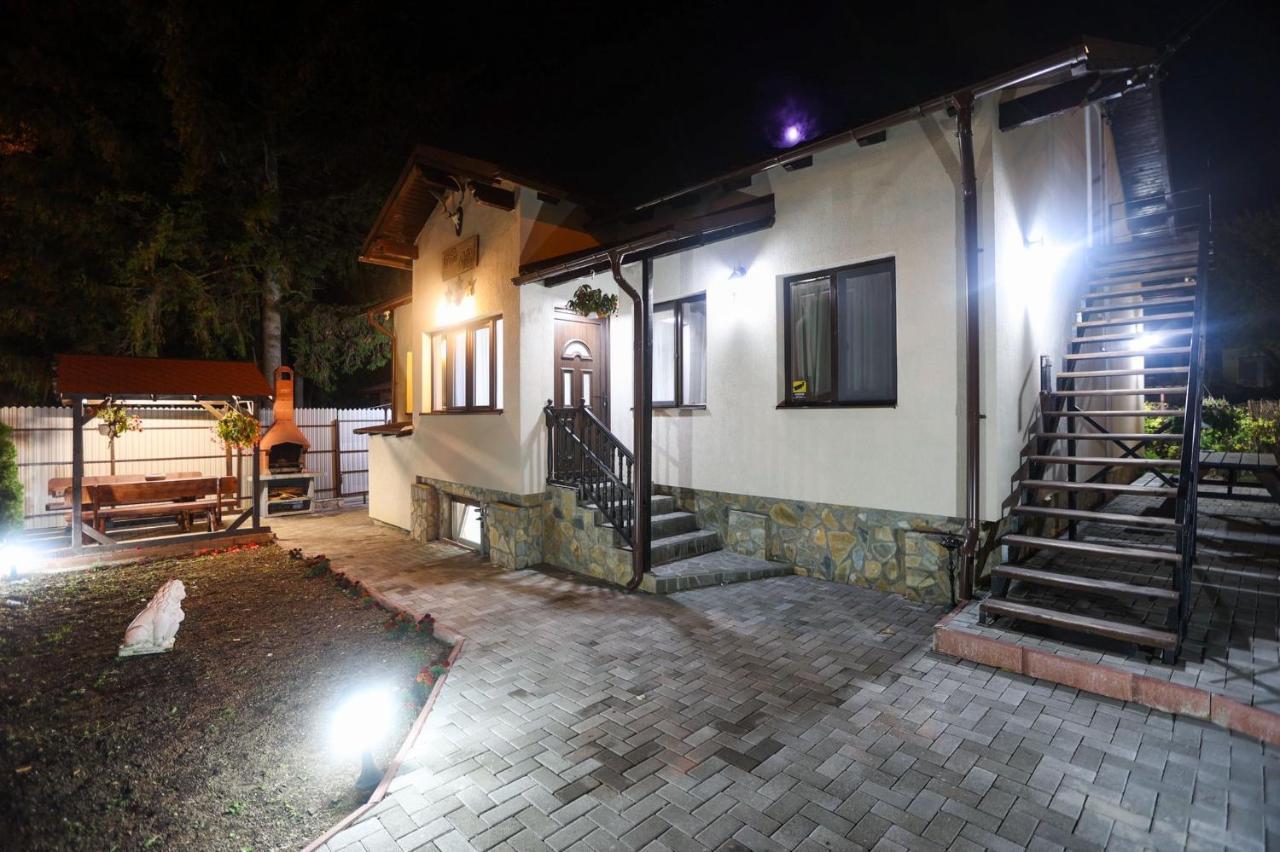 Casa Andy Ξενοδοχείο Buşteni Εξωτερικό φωτογραφία