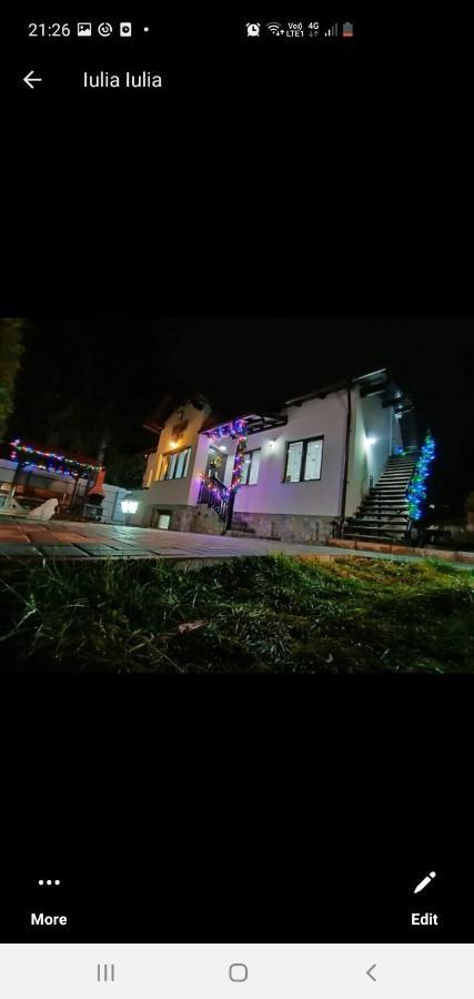 Casa Andy Ξενοδοχείο Buşteni Εξωτερικό φωτογραφία