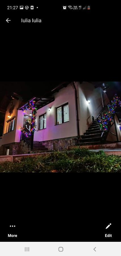 Casa Andy Ξενοδοχείο Buşteni Εξωτερικό φωτογραφία